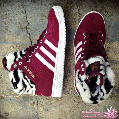 مد و زیبایی